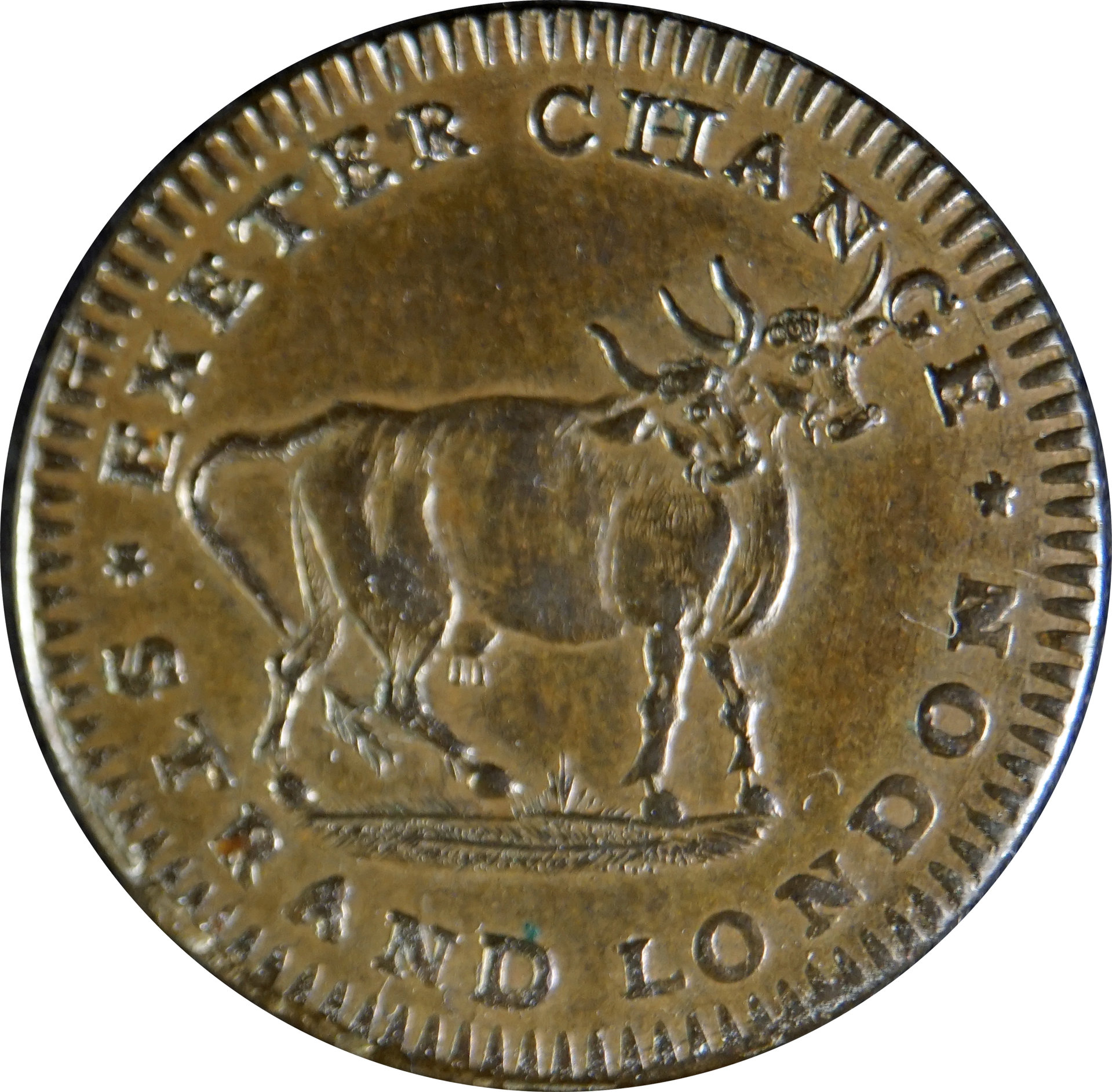 GBPidcock179002.JPG