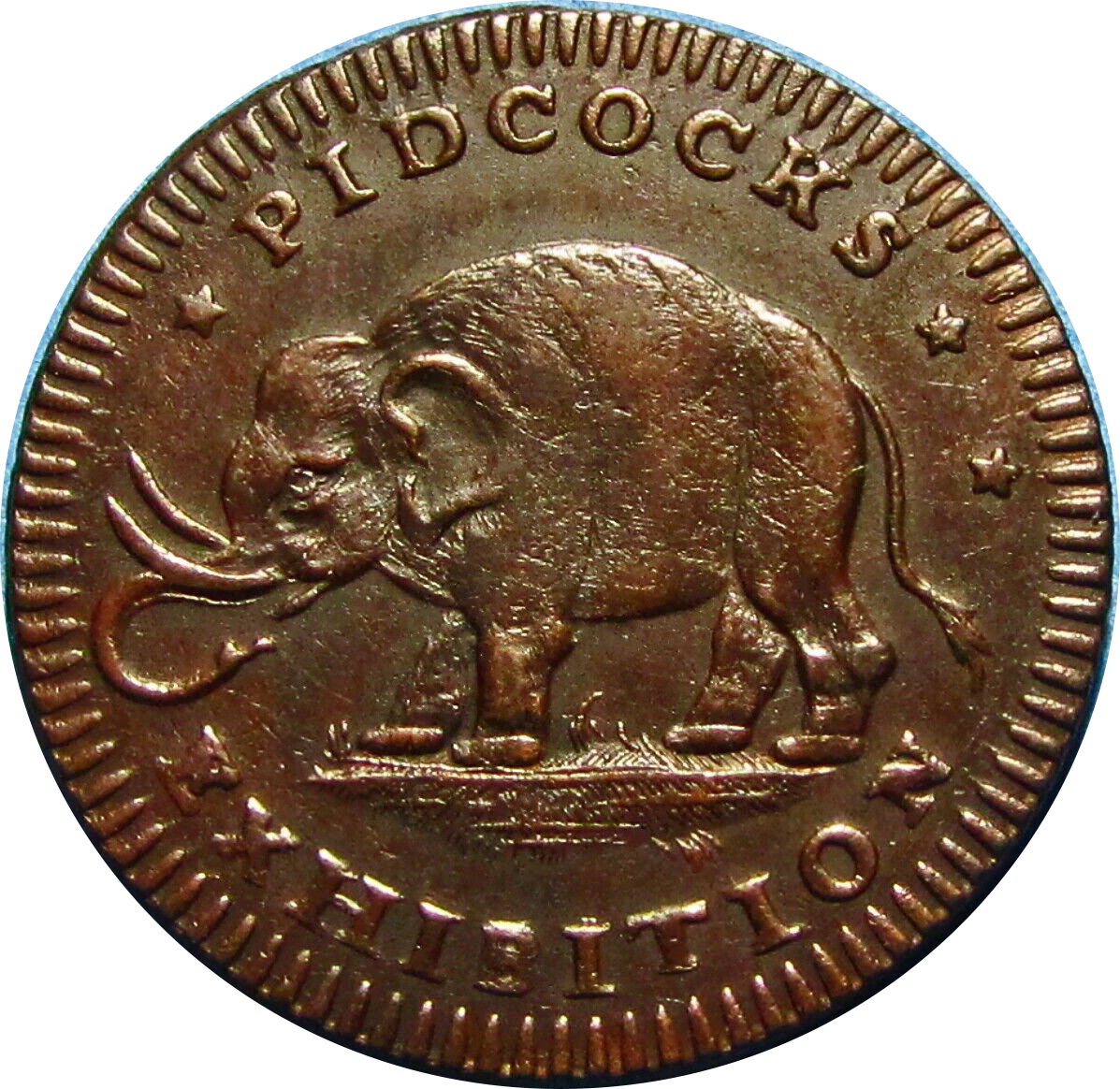 GBPidcock179011.jpg