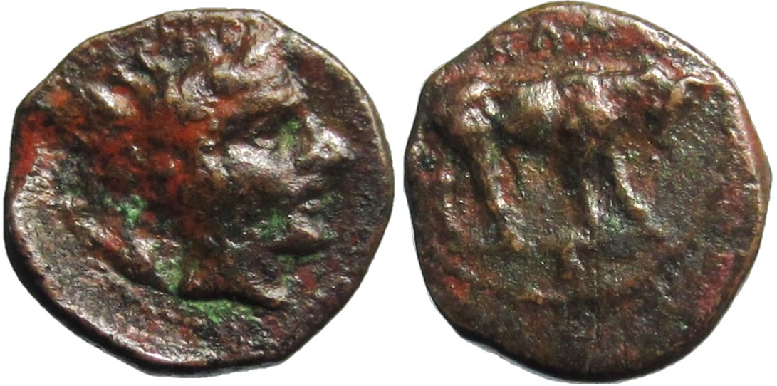Gela Sicily Bull AE11.jpg