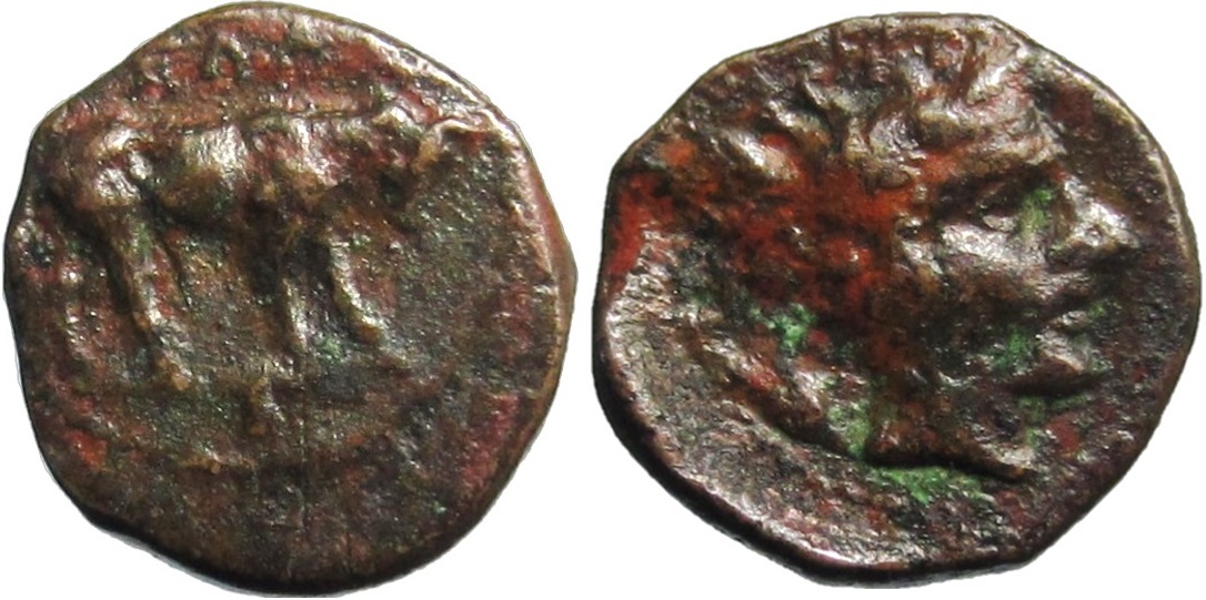 Gela Sicily Bull AE11.jpg