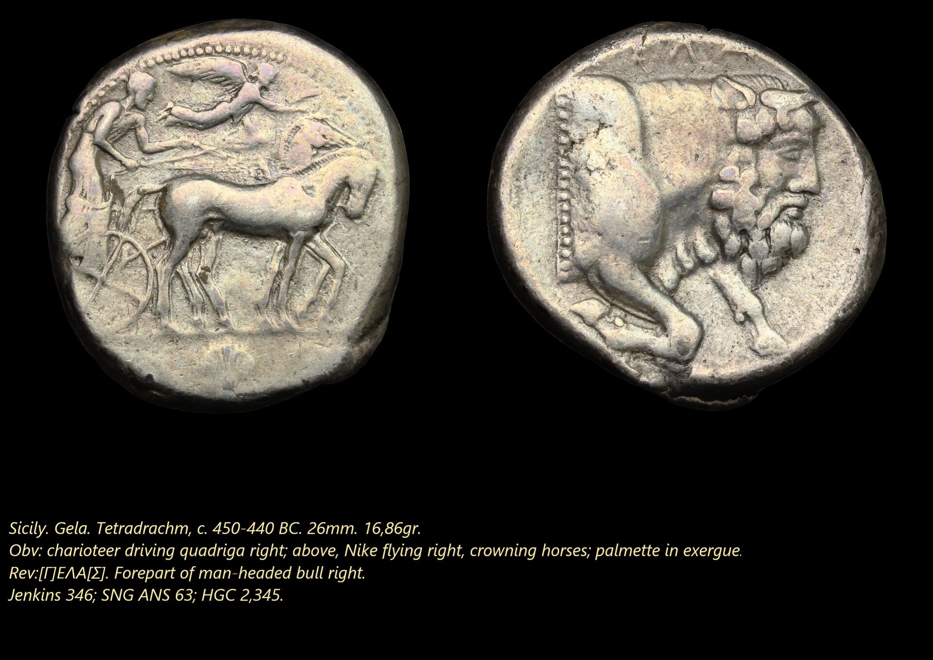 Gela, tetradrachm..jpg