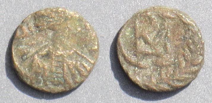GelimerW4.jpg