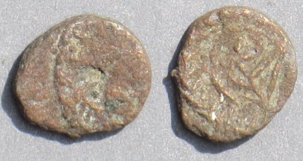 GelimerW4b.jpg