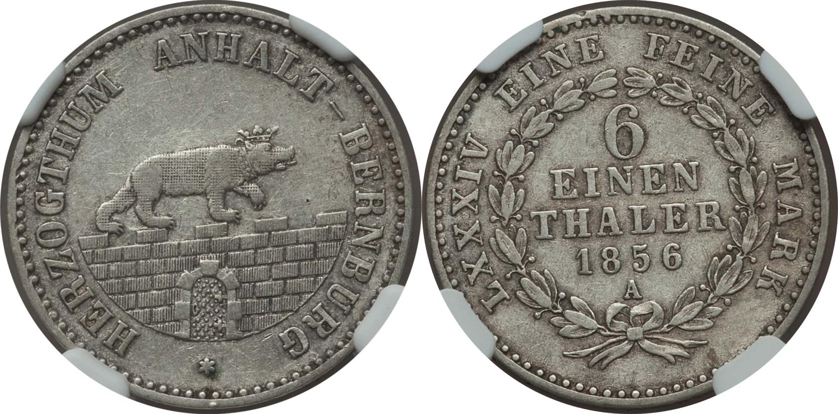 GerAnh185605.jpg