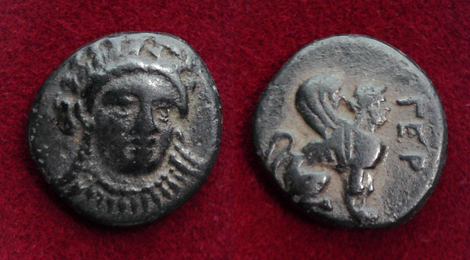 Gergis AE Sibyl.jpg