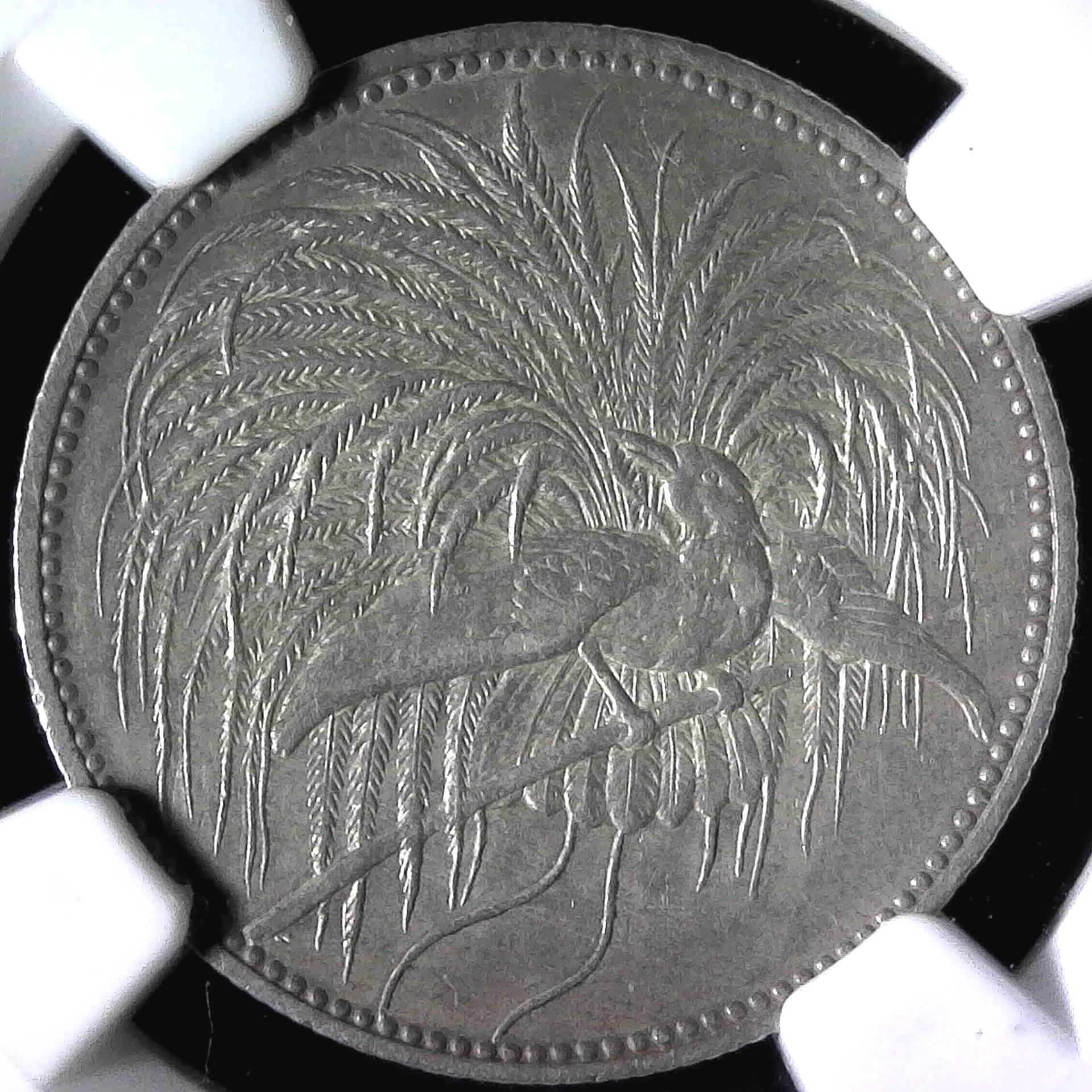 German New Guinea 1 Mark 1894A obv.jpg