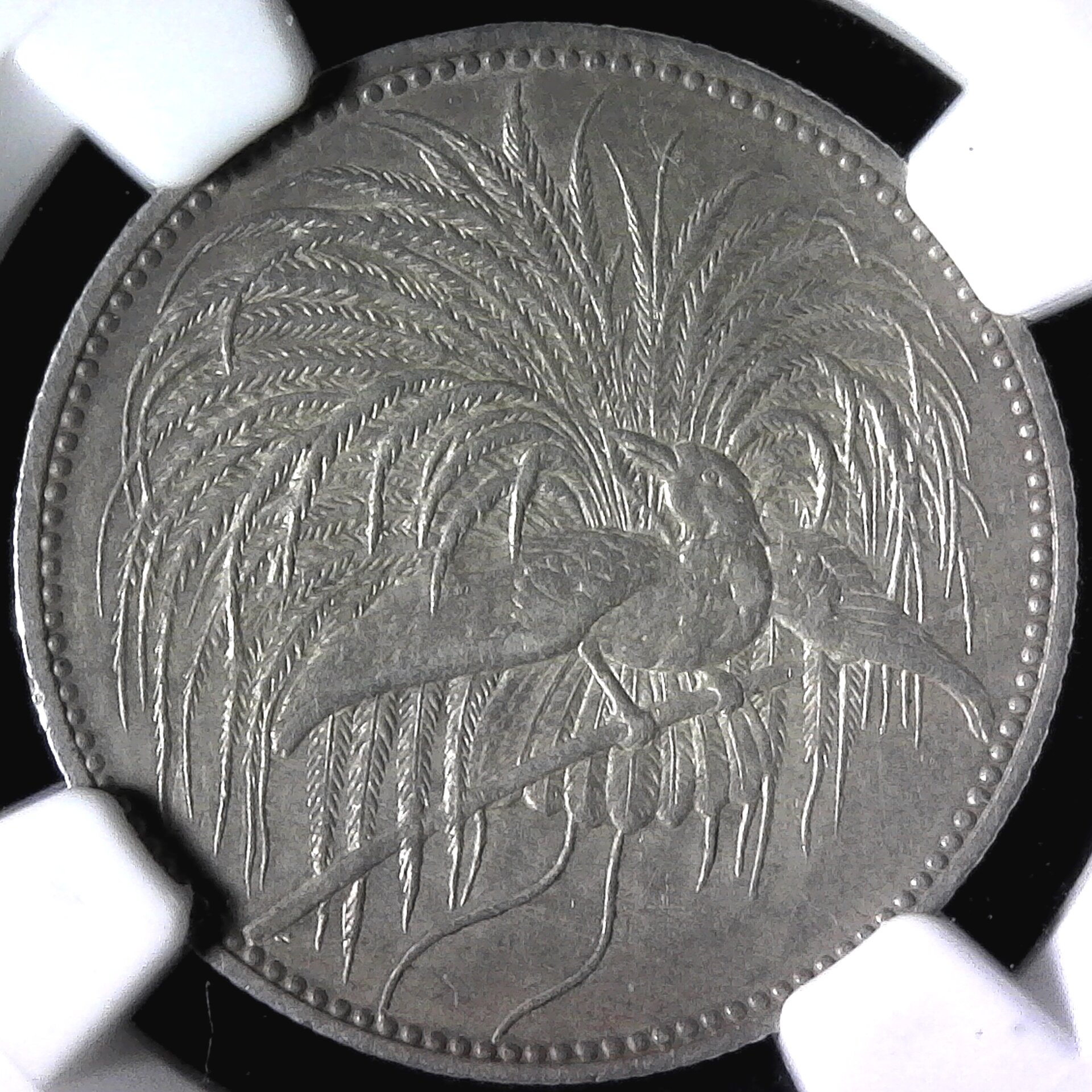 German New Guinea 1 Mark 1894A obv.jpg
