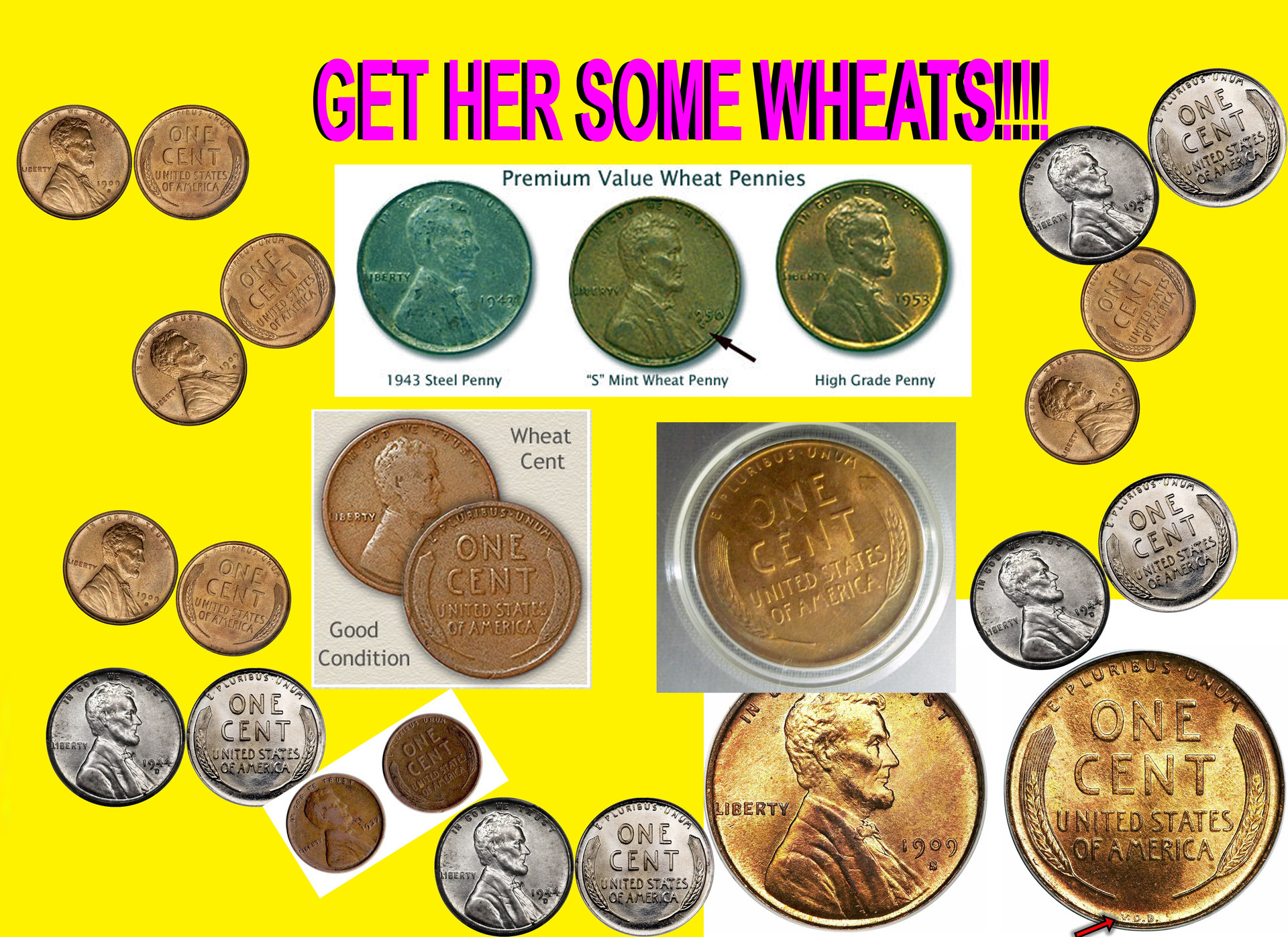 GET HER SOME WHEATS.jpg
