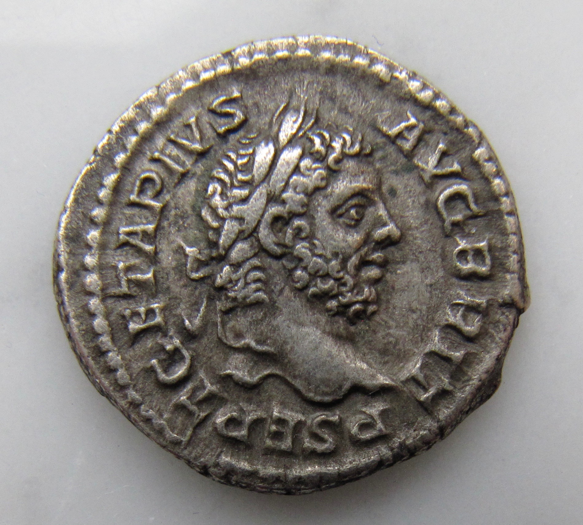 Geta Denarius-Obv - 1.jpg