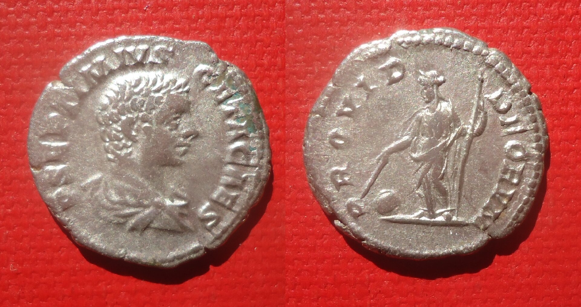 Geta - Denarius PROVID DEORVM RIC 51 Feb 2021 (0d).jpg