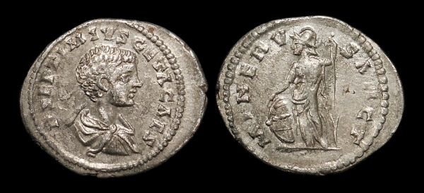 Geta Minerva denarius.jpg