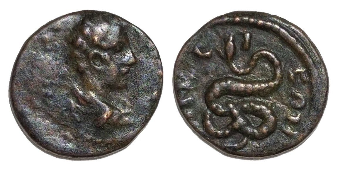 Geta Nicaea hemiassarion.jpg