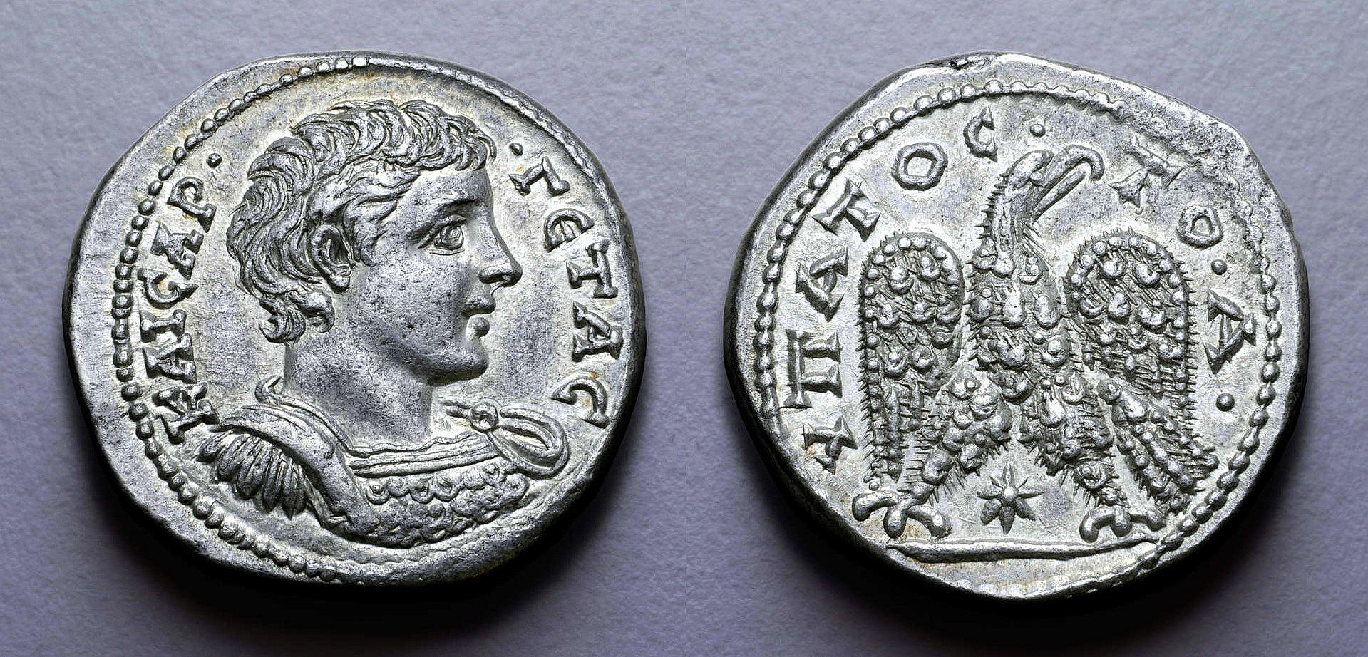 Geta Tetradrachm, Ex Prieur 1135, Roma XX.jpg