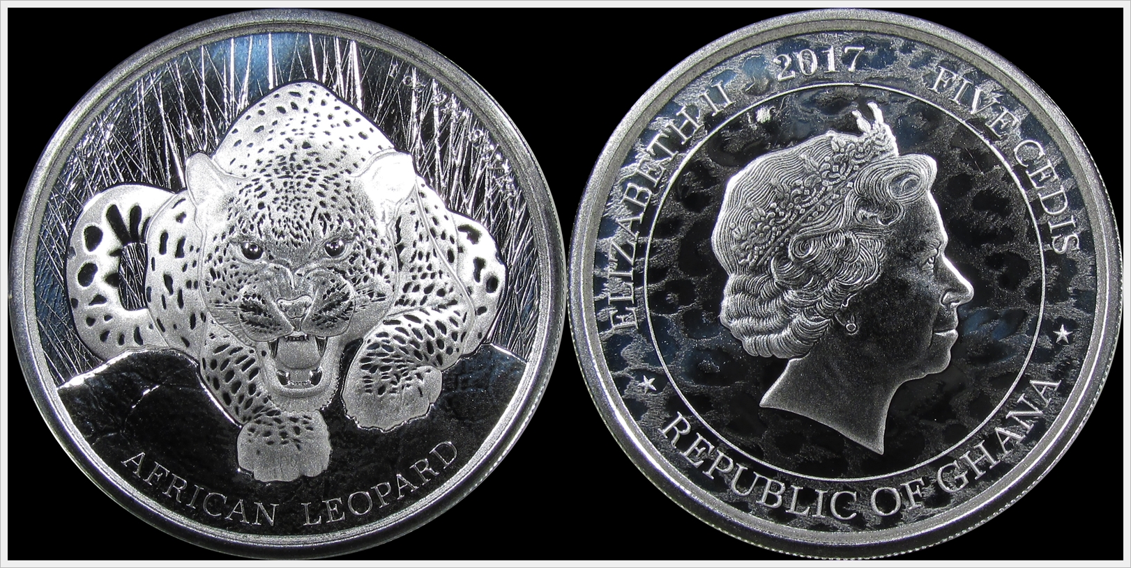 Ghana 2017 5 Cedis leopard.jpg