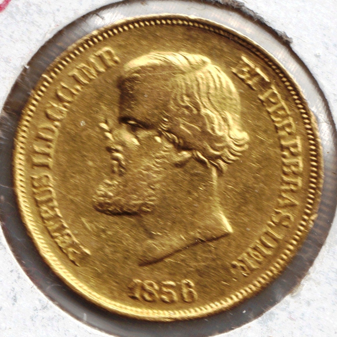 GHBRA001#1.JPG