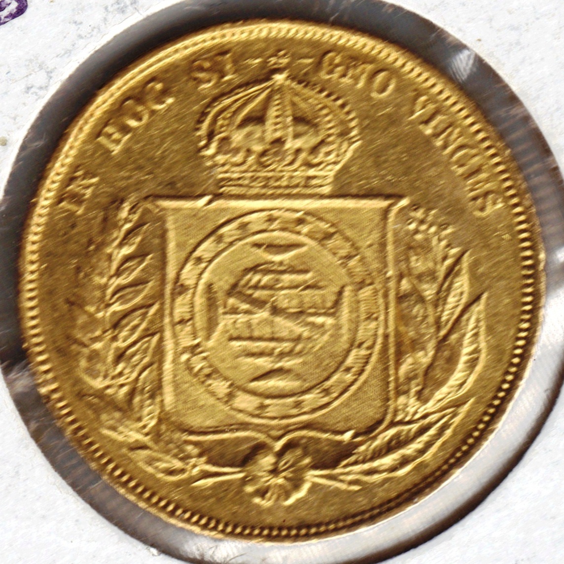 GHBRA001#2.JPG