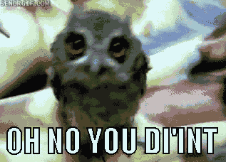 giphy (1).gif