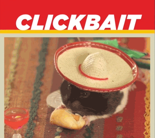 giphy-1.gif