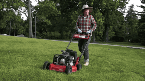 giphy (11).gif