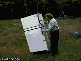 giphy (11).gif