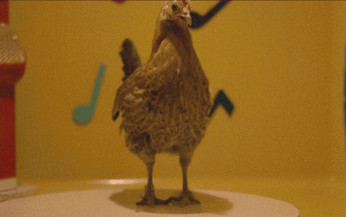 giphy-3.gif