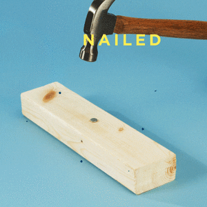 giphy-33.gif