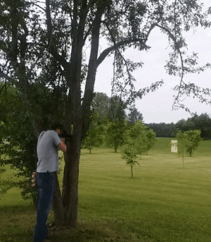 giphy-7.gif