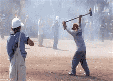 giphy.gif