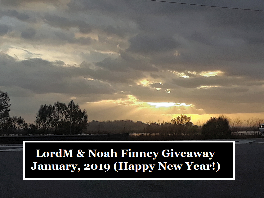 Giveaway banner January 2019.png