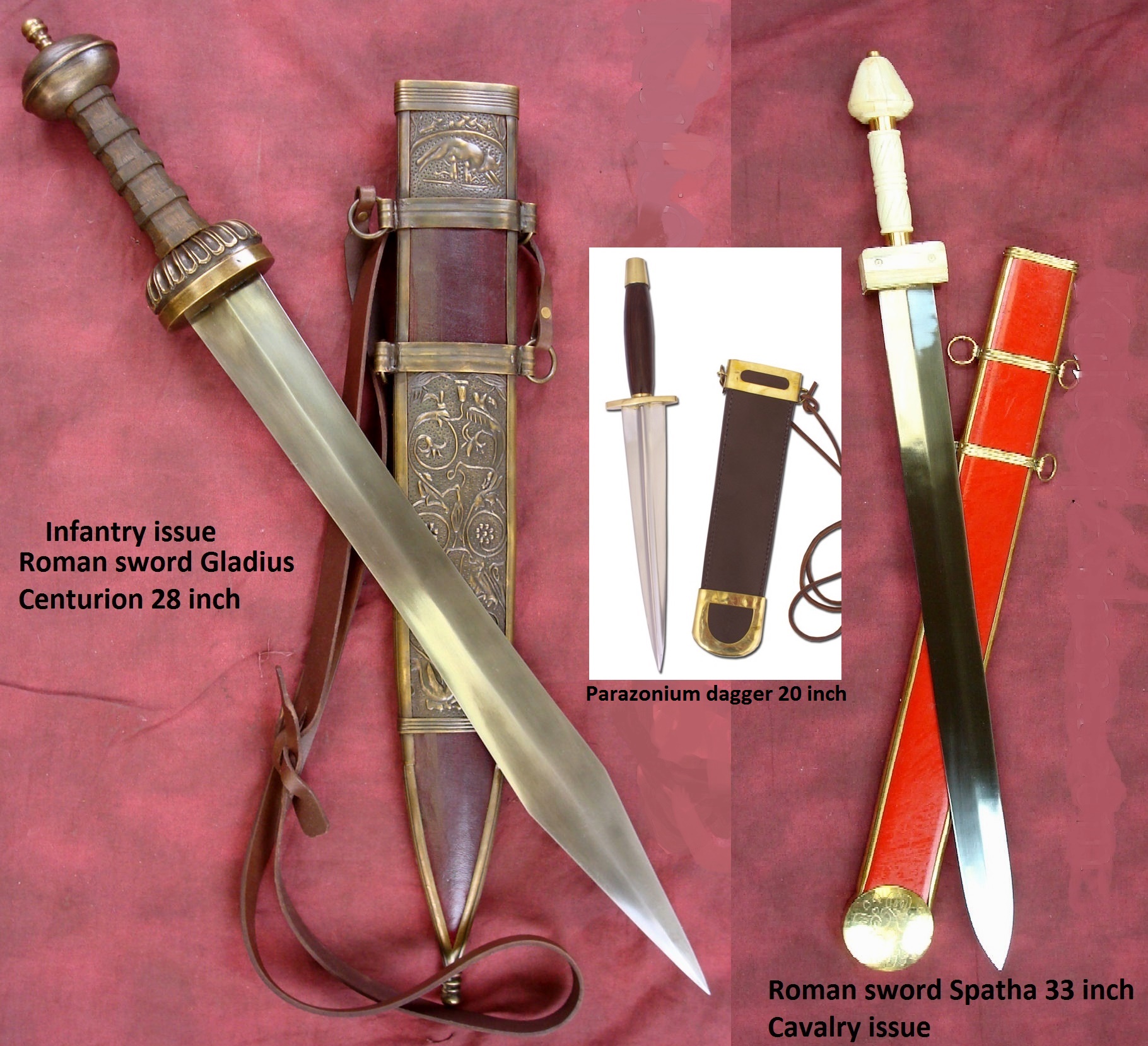 gladius 2.jpg