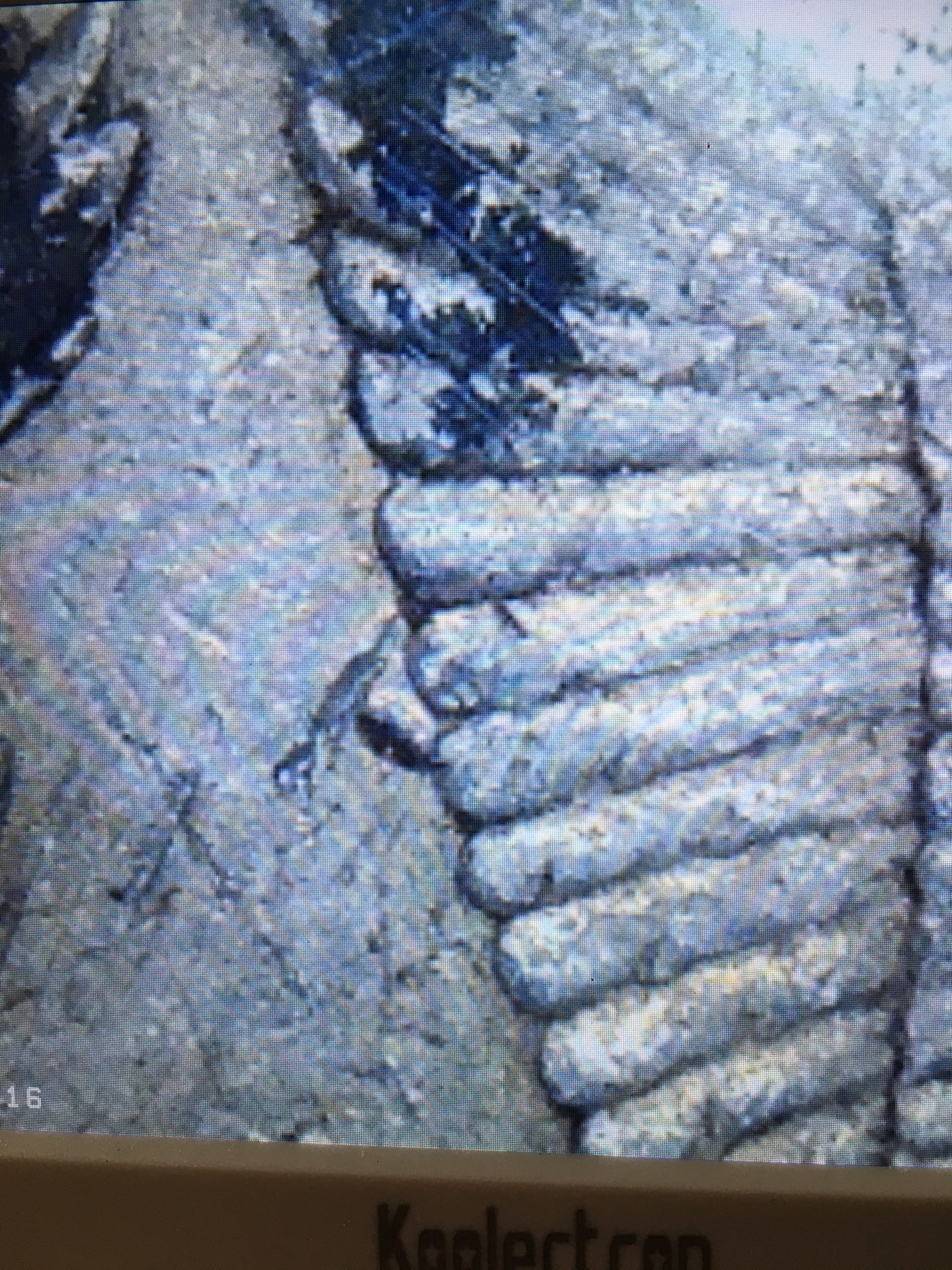 glob on wing closeup.JPG