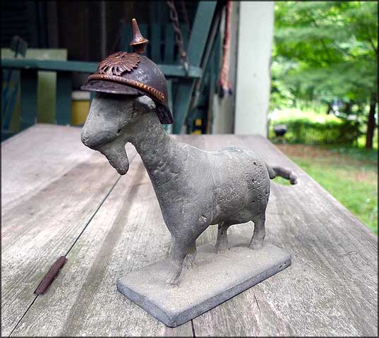 goat-in-helmet.jpg