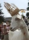 goat king.jpg