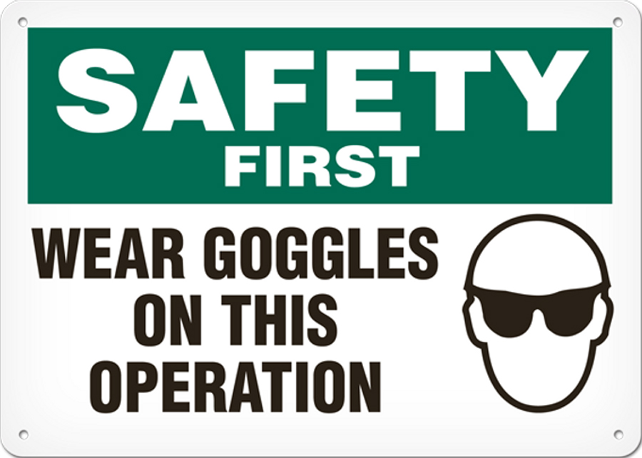 goggles copy.jpg