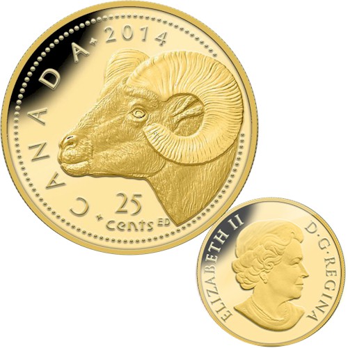 gold 2014 a.jpg