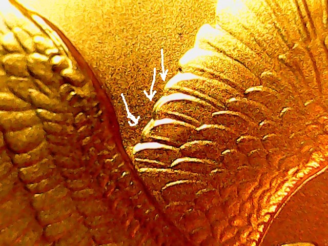 gold-8-1.jpg