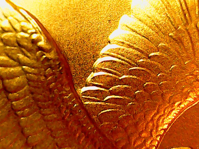 gold-8.jpg