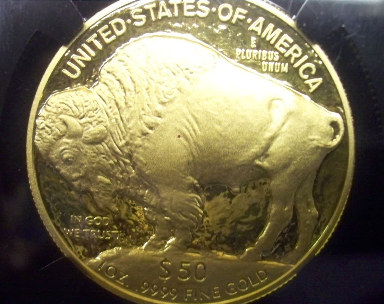 Gold Buffalo with Blood orange Bullet Hole.JPG