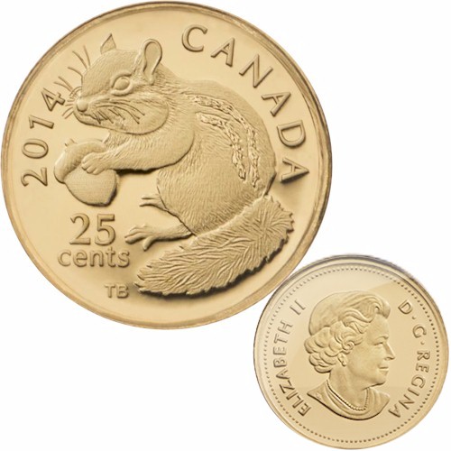gold chipmunk.jpg
