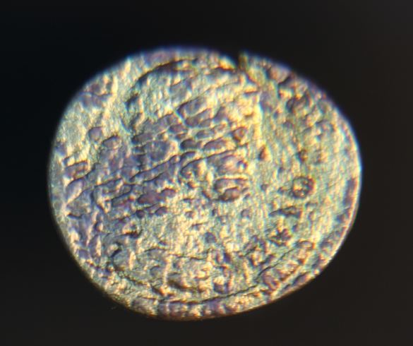 Gold fourree 001_opt.jpg