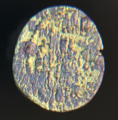 Gold fourree 002_opt.jpg