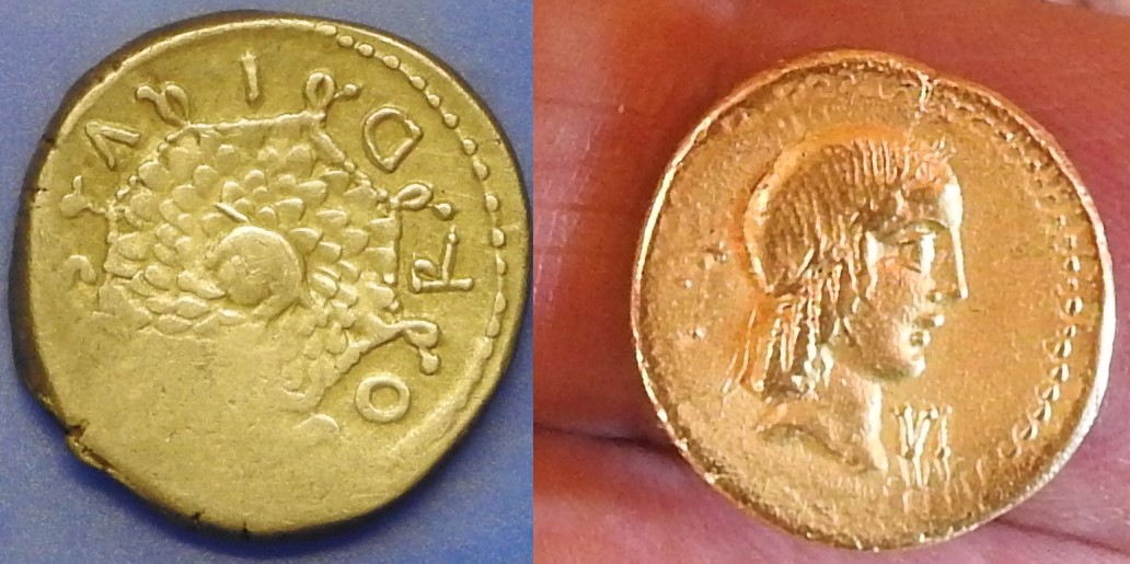 gold tone not gold tone.jpg