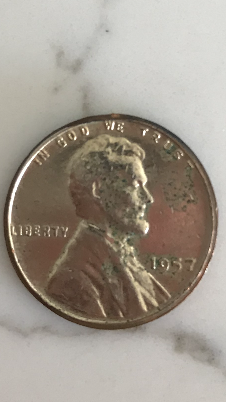 golden penny r.PNG