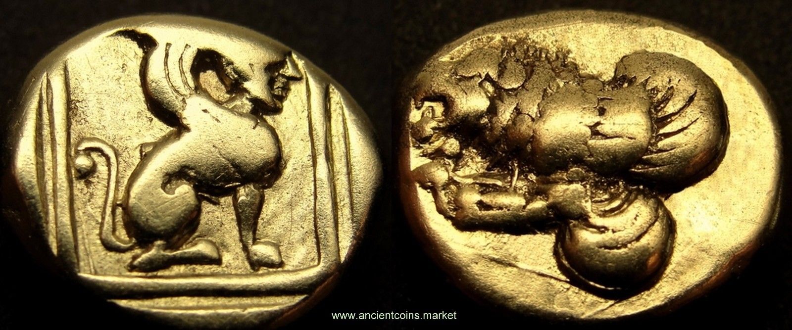 golden winged sphinx and lion.JPG