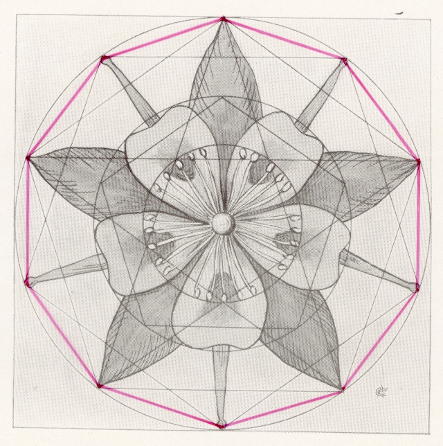 goldendecagon.jpg