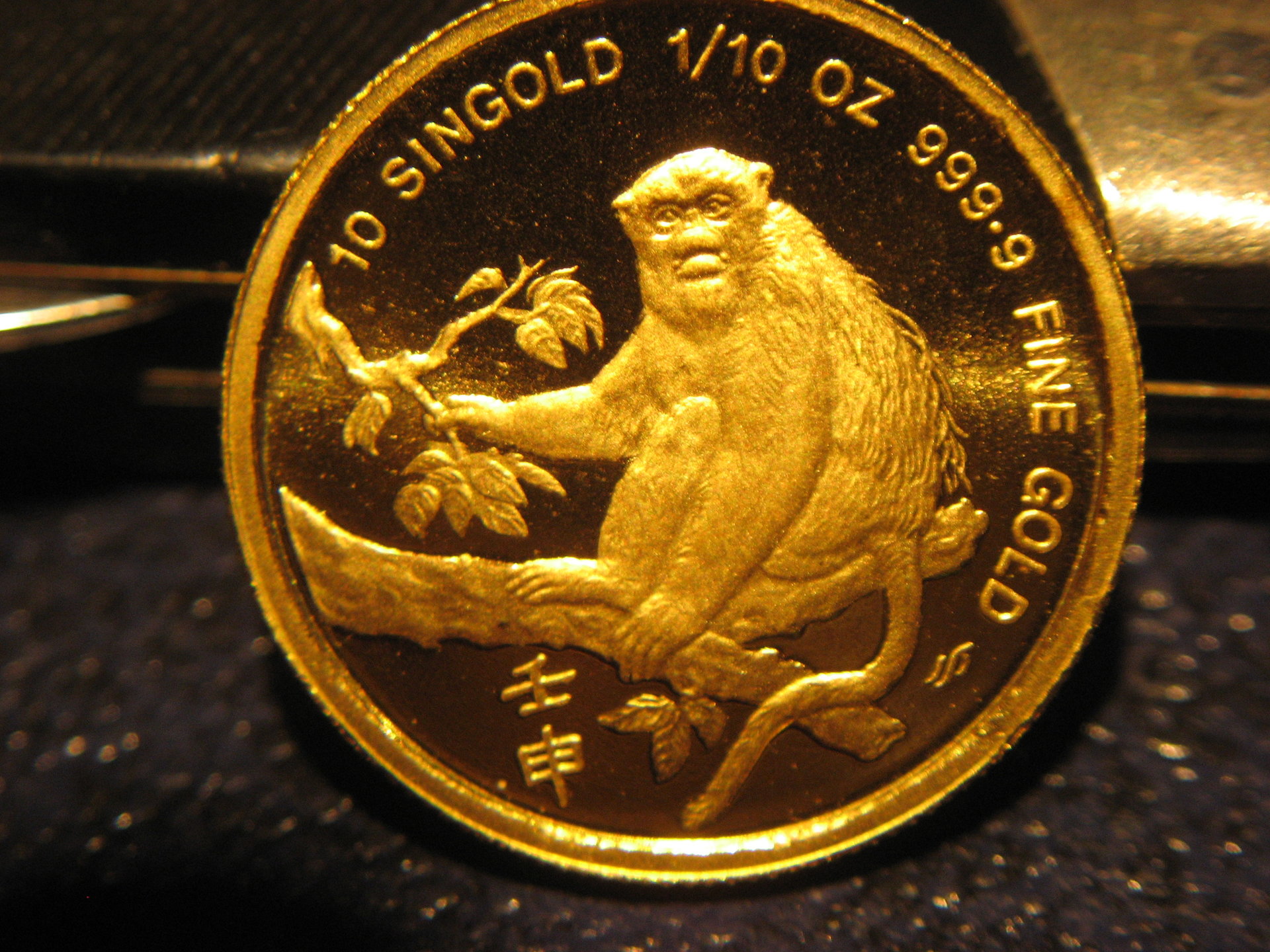 GoldMonkey 002.JPG