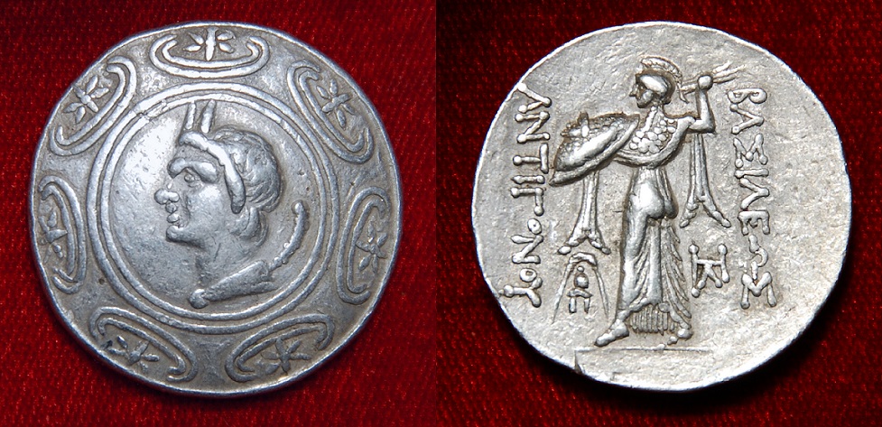 Gonatas (1).jpg