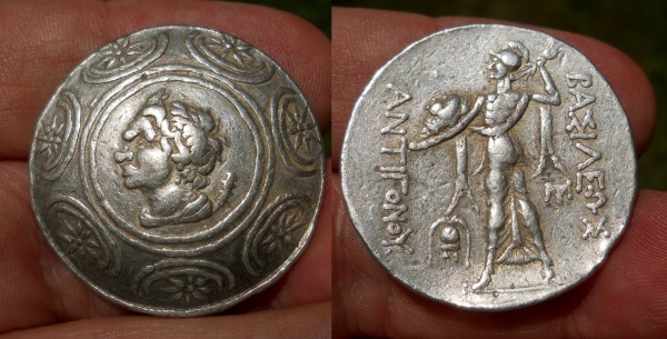 gonatas tet 6.jpg