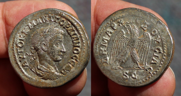 Gordian 6.jpg