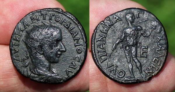 gordian anchialus.jpg